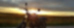 roadside-2.jpg
